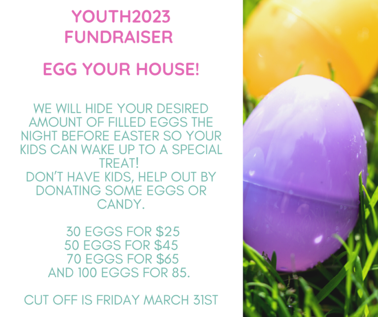 Youth2023 Fundraiser